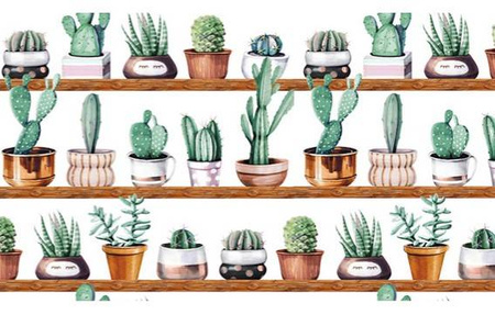 Folia okienna statyczna kaktusy 67cmx15m G-14150