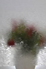 Folia okienna klejowa Smoke 90cmx15m 200-5352