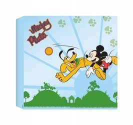 Obrazek ,canvas Myszka Mickey 30x30 OZ70-029