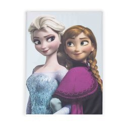 Obraz Frozen, Kraina Lodu, Elsa Anna 50x70 OZ70-546