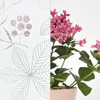 Folia okienna statyczna Dekoban 67,5cmx15m L6708
