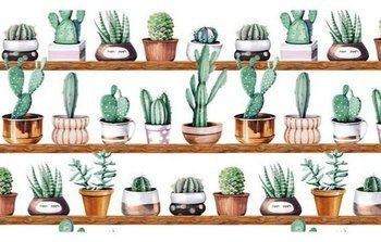 Folia okienna statyczna kaktusy 67cmx15m G-14150