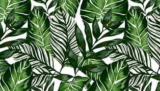 Okleina Egzotyczne Liście 67x200cm G-14125