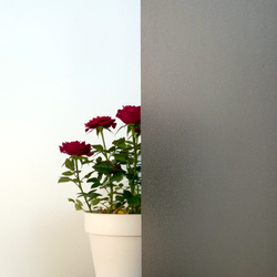 Folia okienna statyczna kolor grafitowy 45x150cm S4540