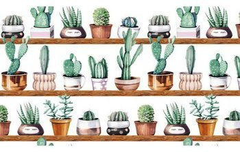 Folia okienna statyczna kaktusy 67x150 G-14149